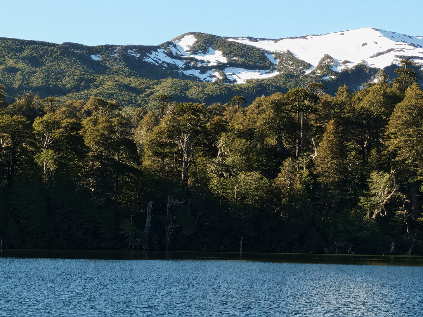 Paisaje de la Araucanía Andina