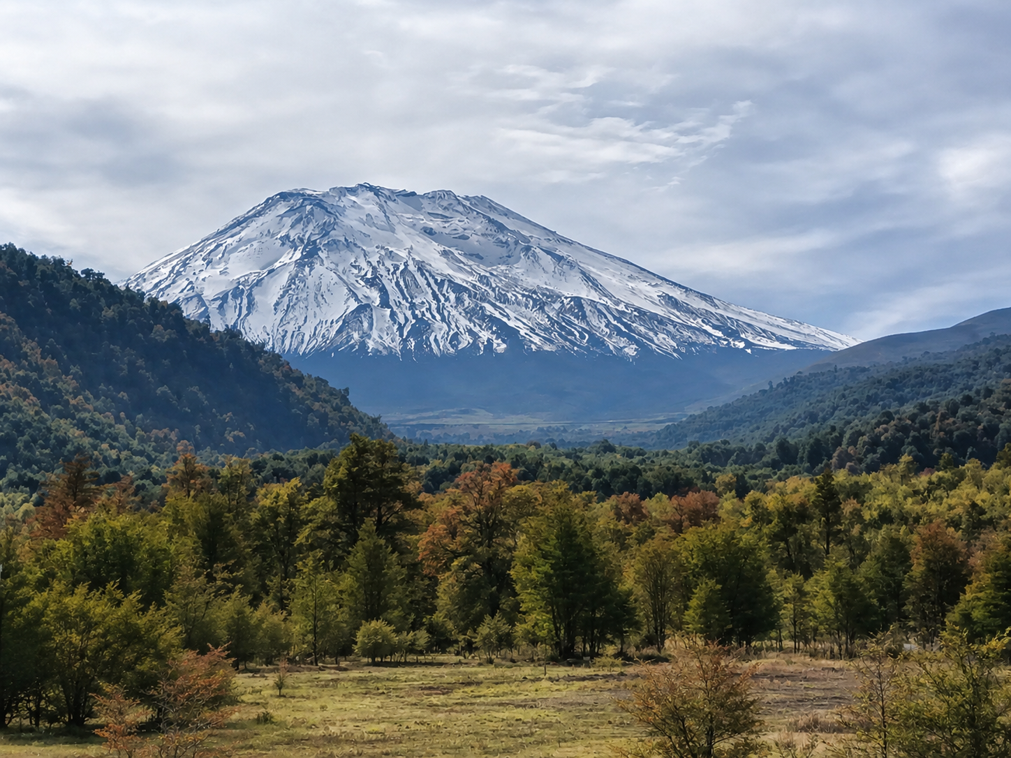 Paisaje de la Araucanía Andina